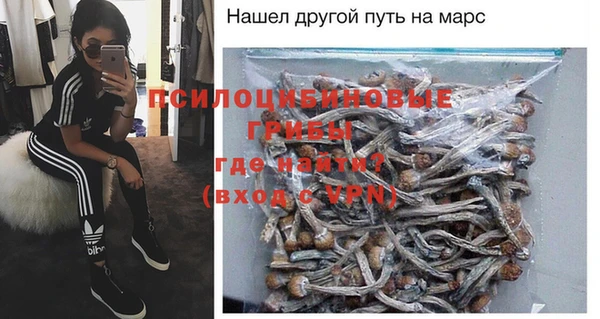 экстази Белокуриха