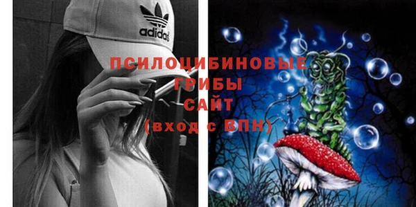 МДПВ Строитель